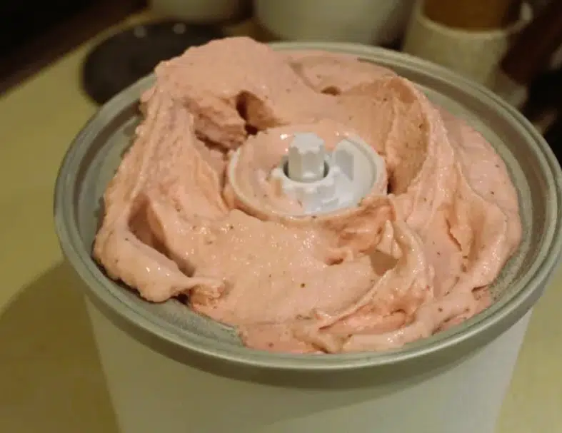 ice cream in cuisinart bowl
