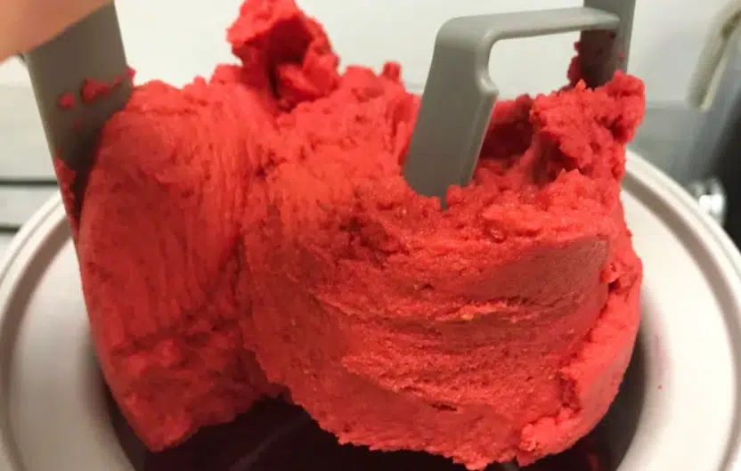 churned Ice Cream in cuisinart
