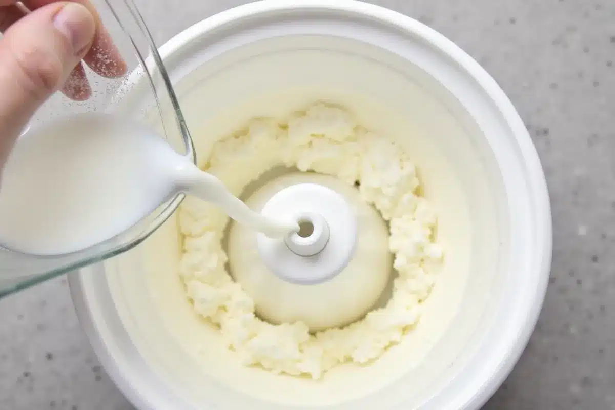 Liquid Put in a Cuisinart Ice Cream Maker