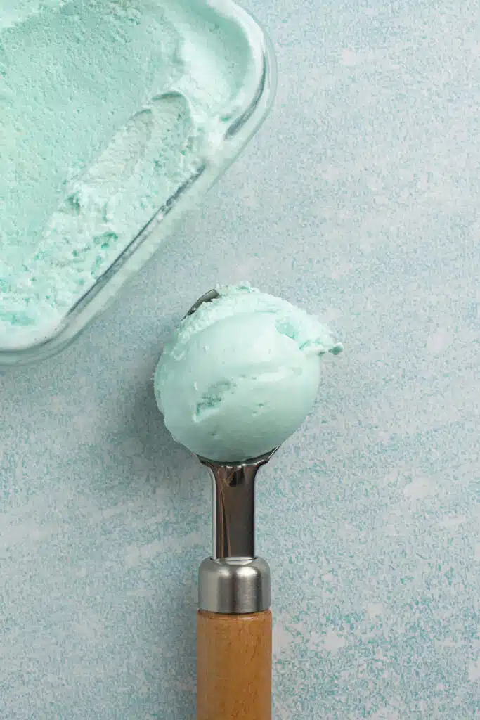 Mint Chocolate Chip Ice Cream